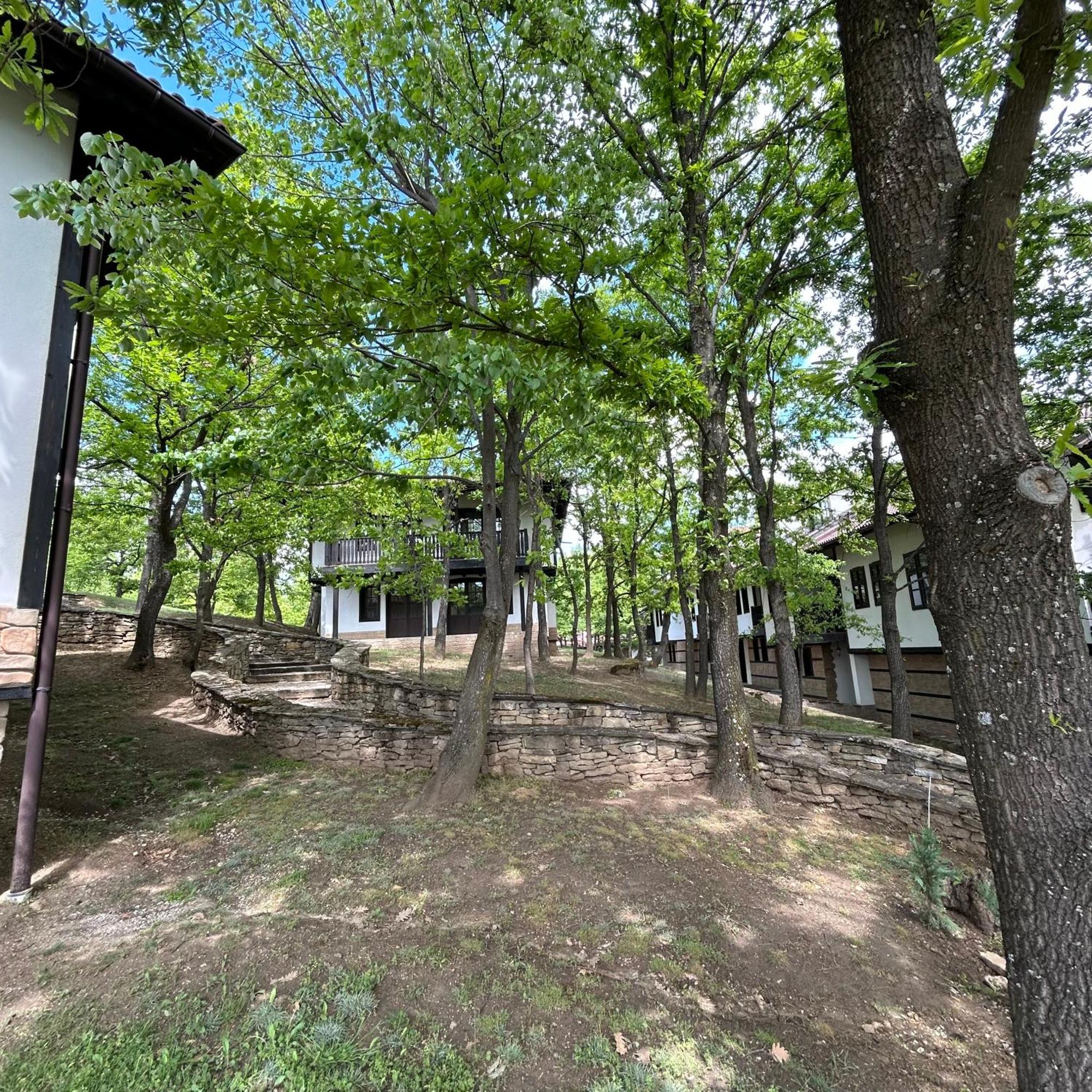 Геша Форест Dreanovo Exterior foto