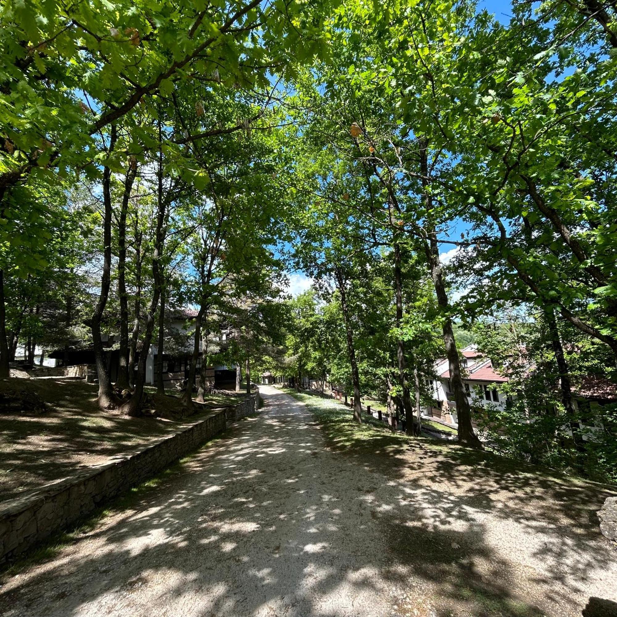 Геша Форест Dreanovo Exterior foto
